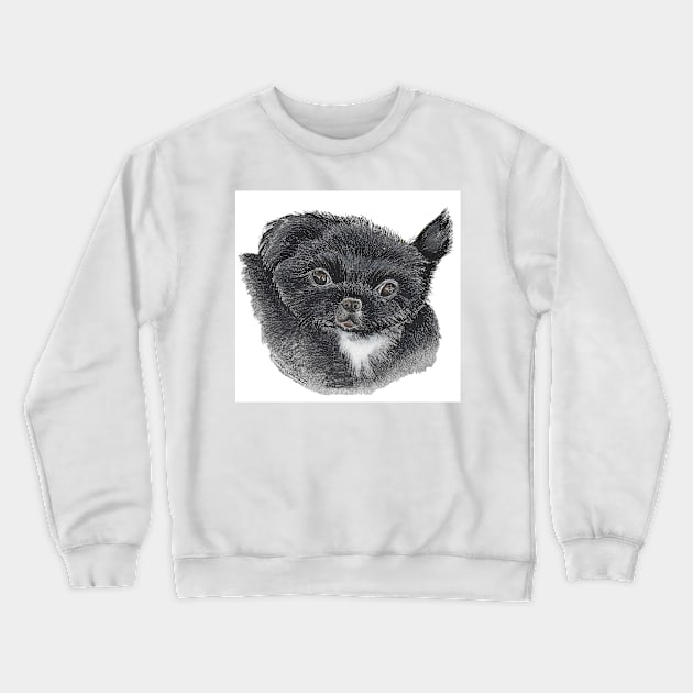 Baby Lucca Crewneck Sweatshirt by Dr. Mary